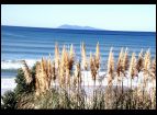 Abel Tasman NP.jpg